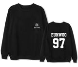 Astro Pullover Members