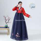 Korean Hanbok Dress