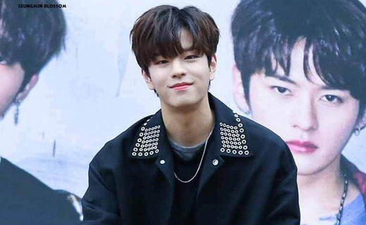Who is Seungmin [Stray Kids] ?