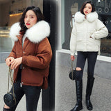Korean Coat With Furry Hood
